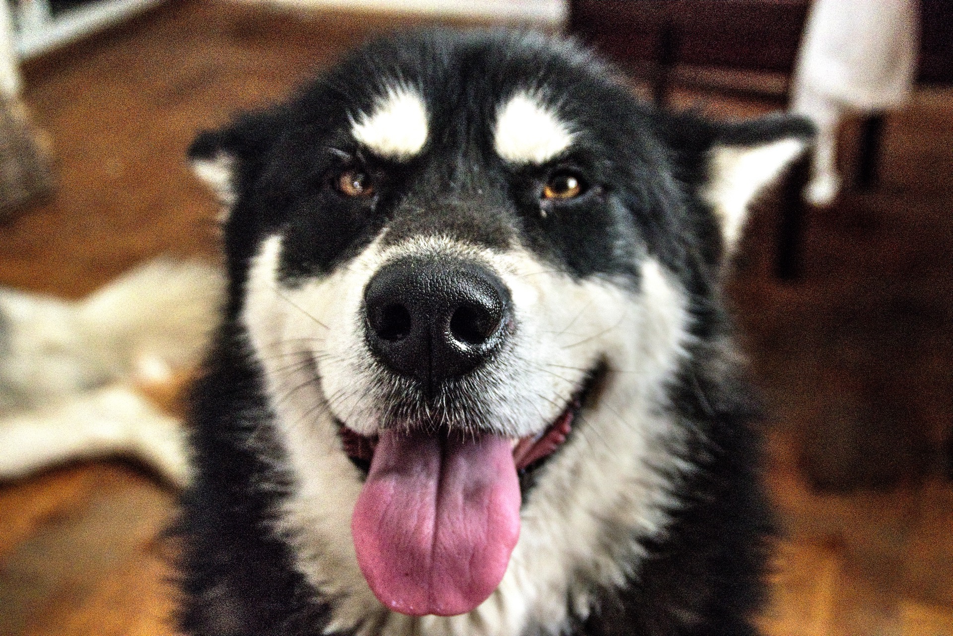 Angel_cleaning_day-1