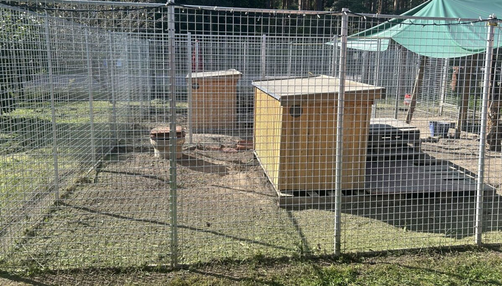 two_kennels_completed-Large-1024x585-1